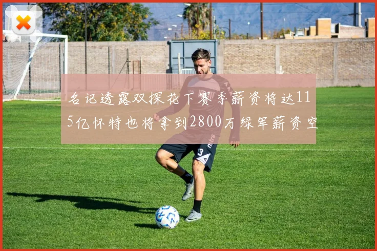 名记透露双探花下赛季薪资将达115亿怀特也将拿到2800万绿军薪资空间依旧紧张