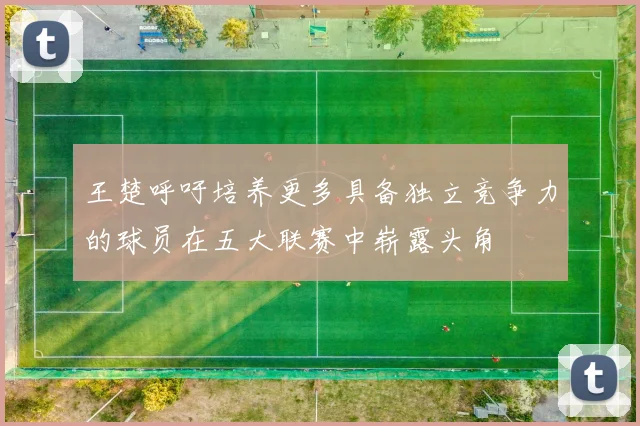 王楚呼吁培养更多具备独立竞争力的球员在五大联赛中崭露头角
